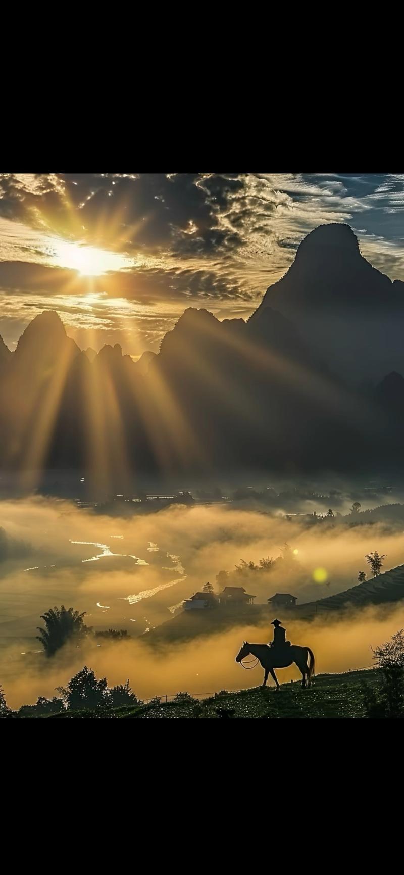 站群软件 破解版