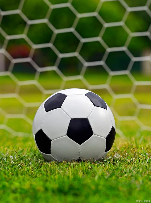 站群服务器国内